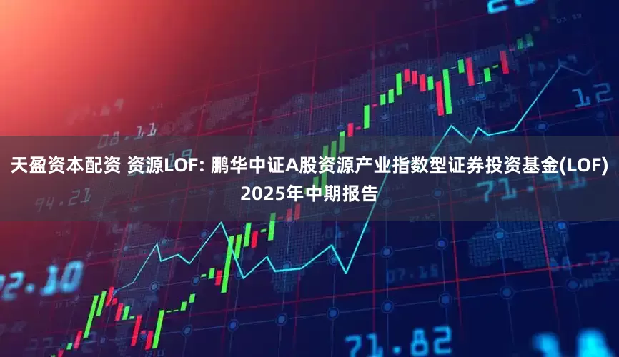 天盈资本配资 资源LOF: 鹏华中证A股资源产业指数型证券投资基金(LOF)2025年中期报告